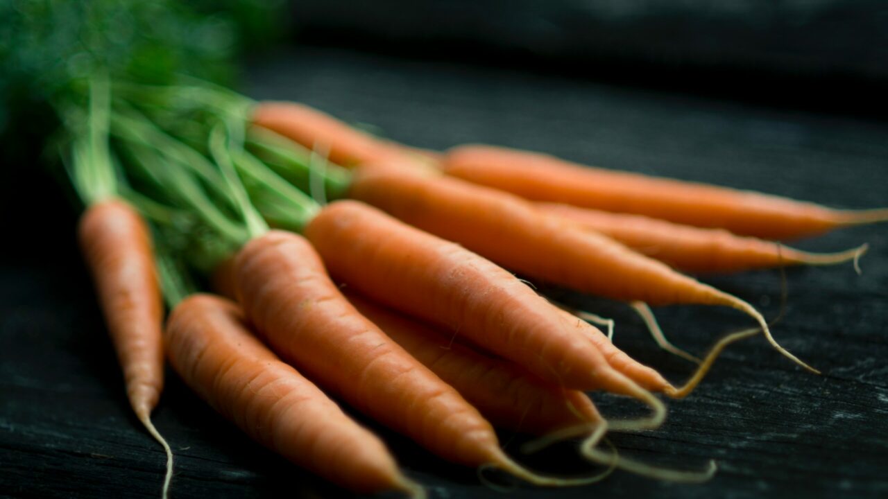 Nachhaltigkeit in der Gastronomie