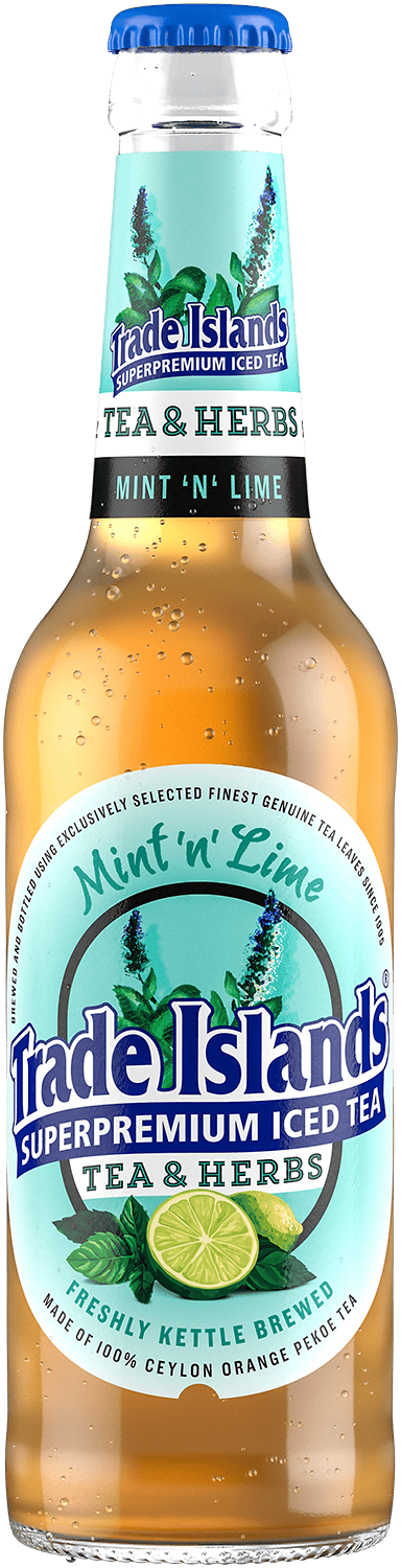 TI_ML_Flasche_033l TI_ML_Flasche_033l
