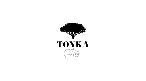 Tonka Gin Logo mit stilisiertem Baum