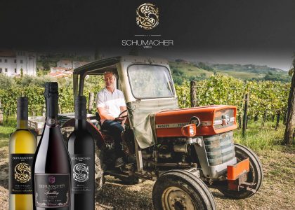 Gastivo Marken Vorstellungen6