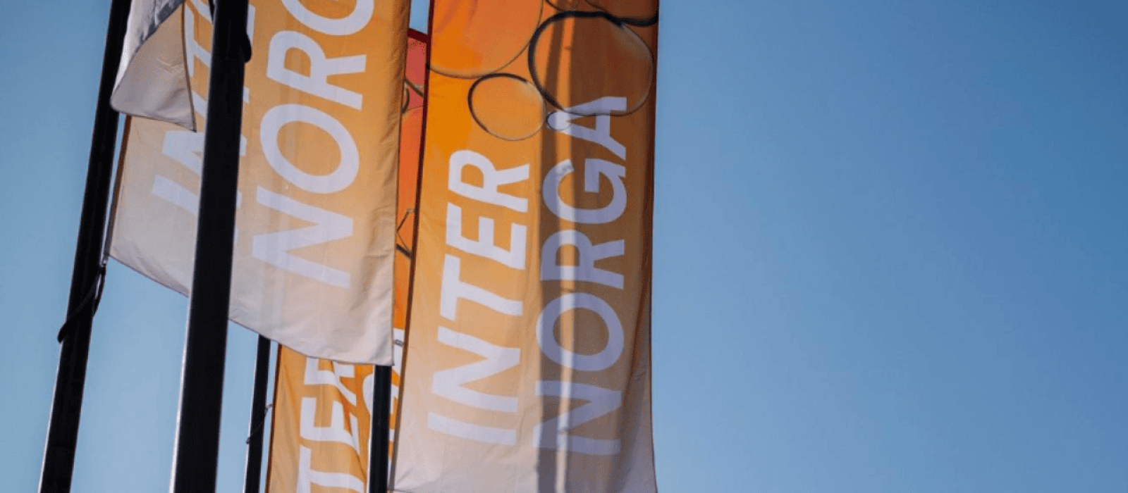 Kopie von Headerbild Inspirationsartikel_Kacheln neu (34)