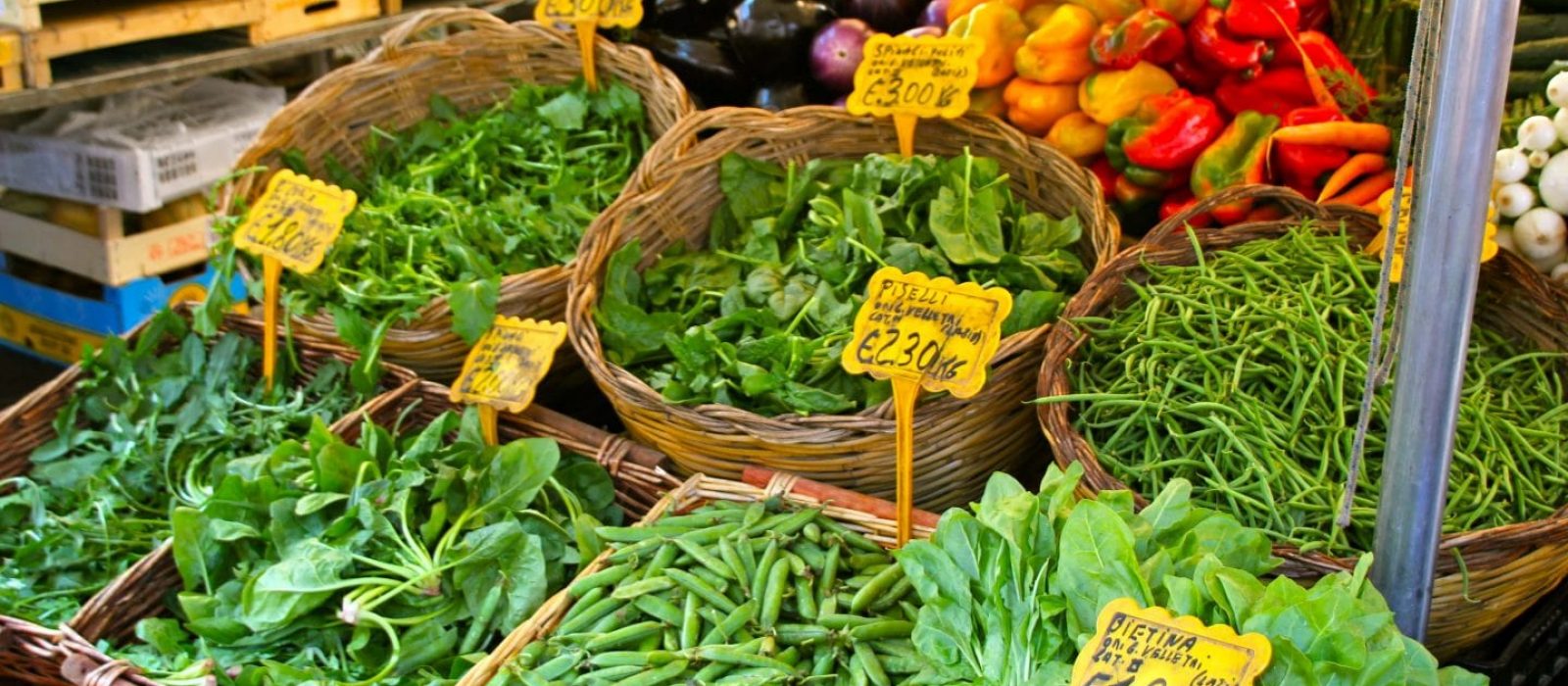 Slowfood-1440x800-min